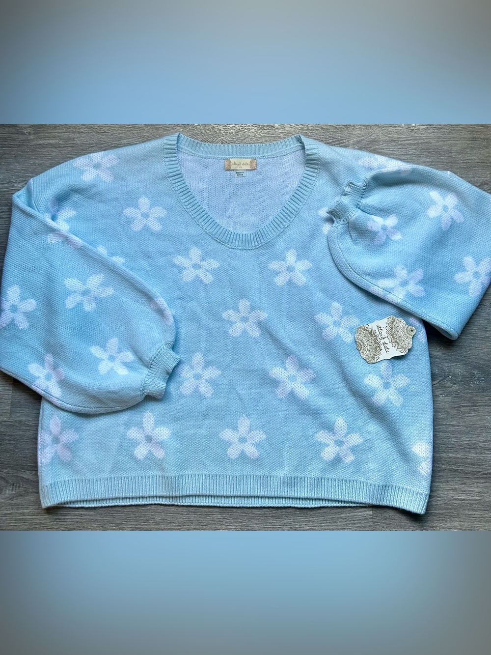 Altar'd State Light Blue Cropped Floral V-Neck Knit Balloon Sleeve Sweater XS